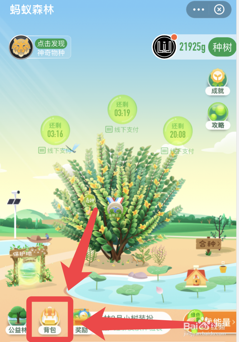 支付宝蚂蚁森林怎么修改背景