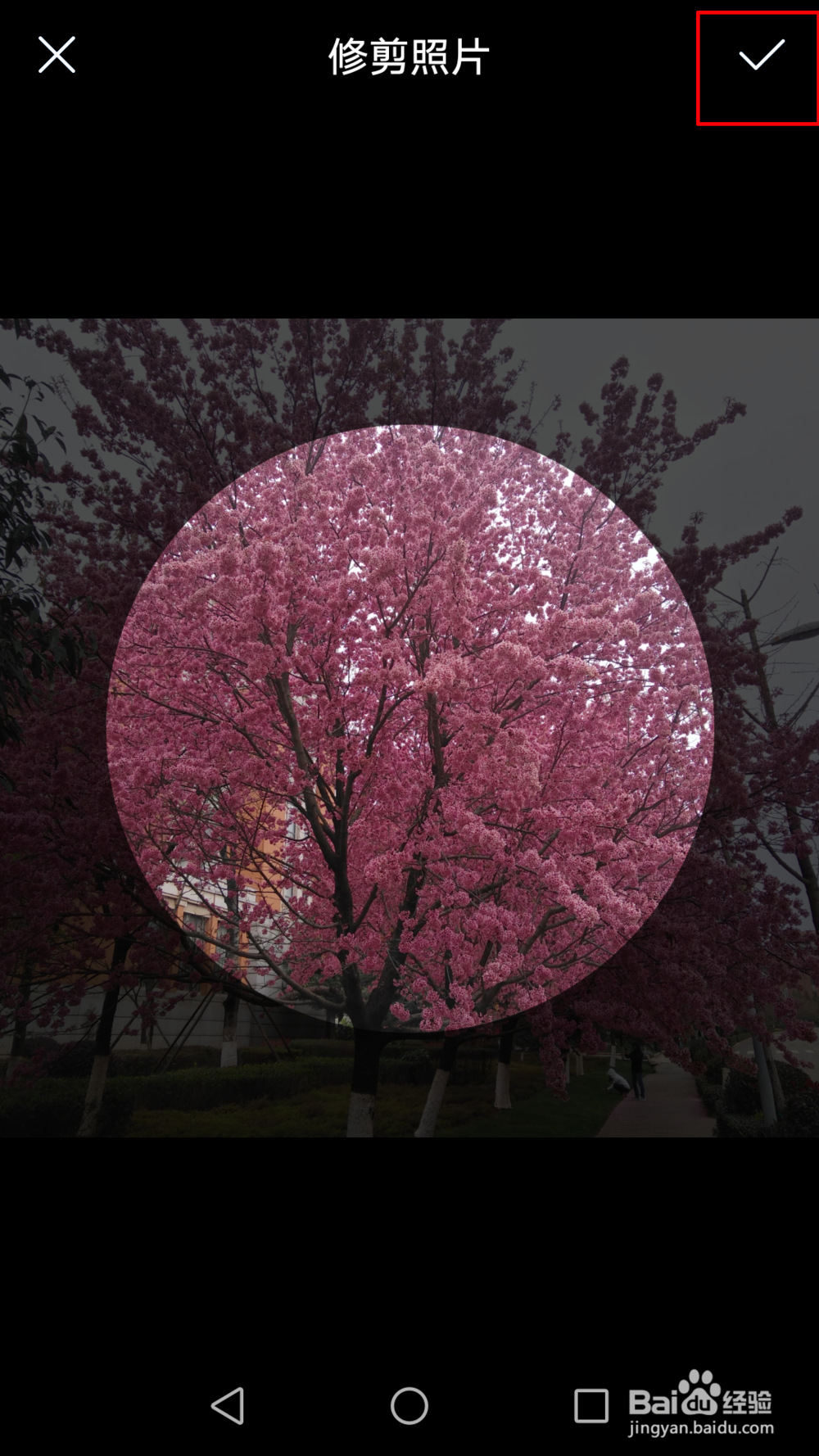 爱奇艺极速版怎么修改头像