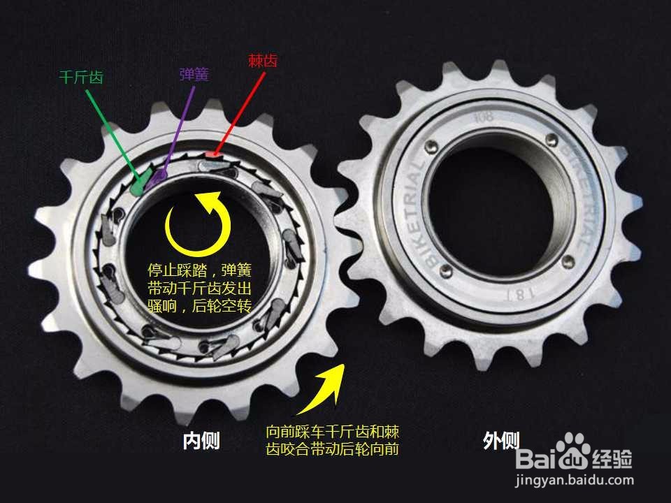 活飞轮、倒刹花鼓、死飞轮的区别