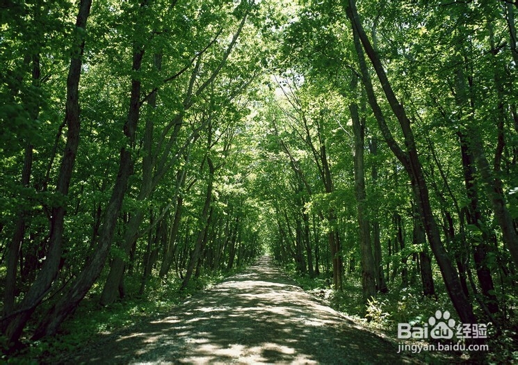怎样判断脸上痘痘判别病症，预防病症保健康？