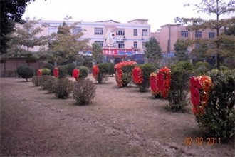 #过年#如何布置小区环境
