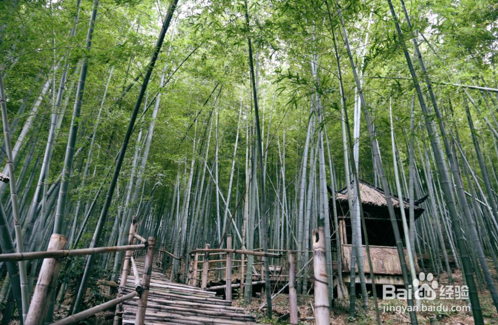 青青世界有什么好玩的