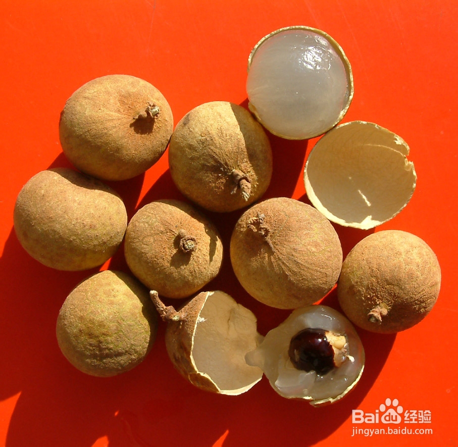 春季治疗糖尿病妙方