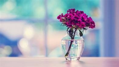 生活小秘方五！