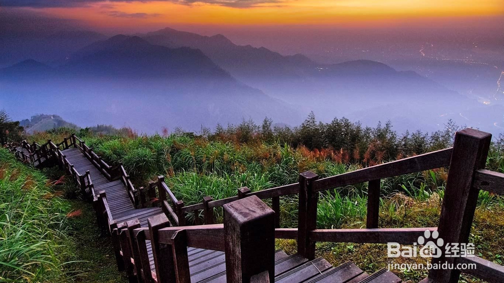 造化之功（阿里山）