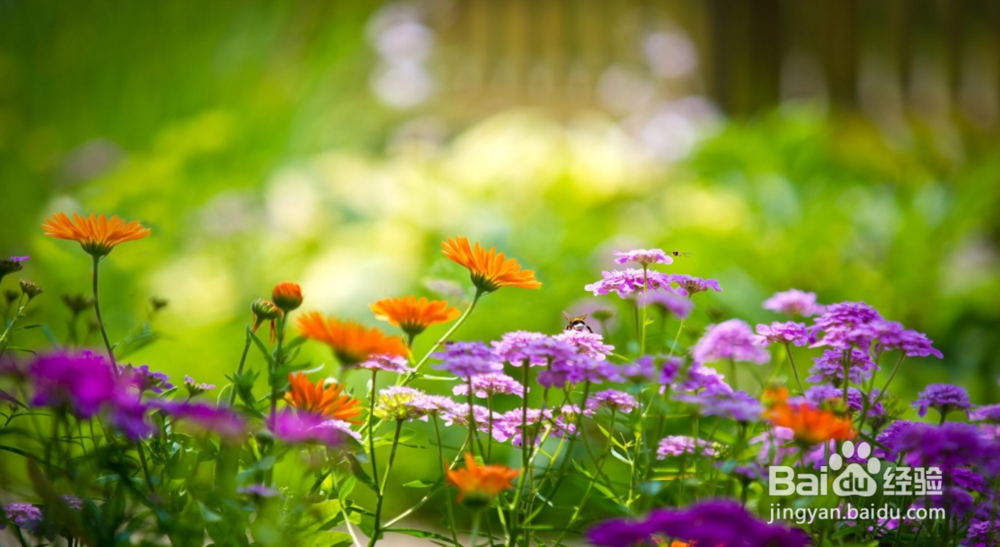 年轻人你应该有哪些好习惯？