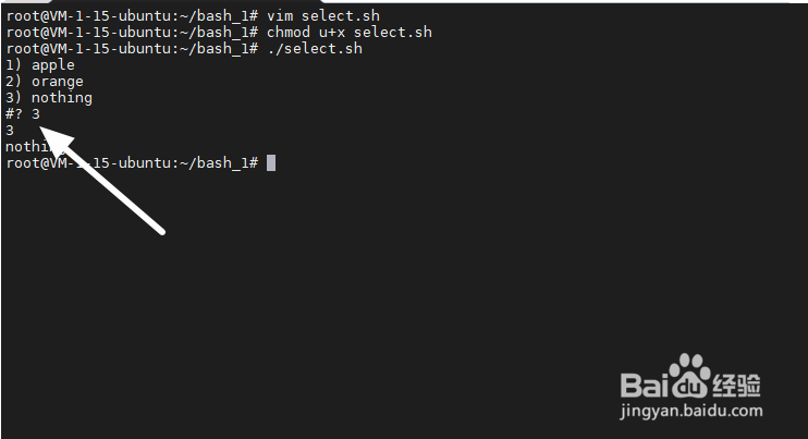 ubuntu系统下选择在脚本中是如何写的?