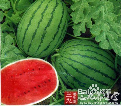 感冒吃什么水果好 6种水果摆脱感冒