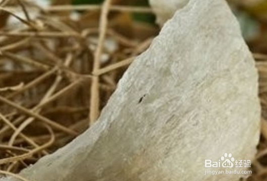 女孩子冬季吃什么才健康？