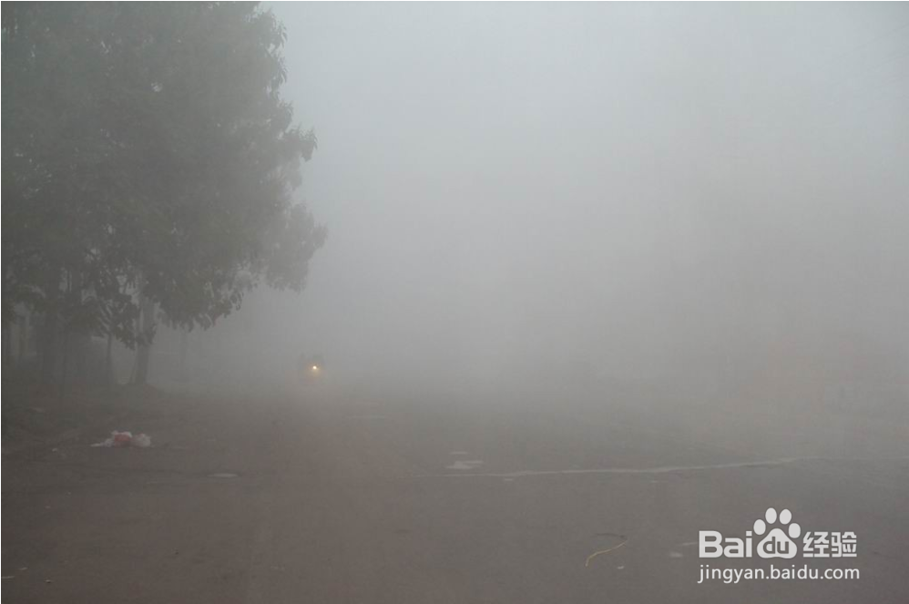 山区夜间开车遇到大雾怎么办？