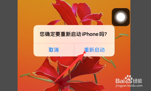 苹果12怎么重启手机