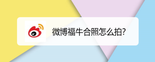 微博福牛合照怎么拍