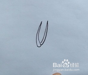 菠菜怎么画？