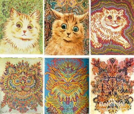 猫咪那么萌，怎么可能害你精神分裂了？我来为大家科学辟谣啦！