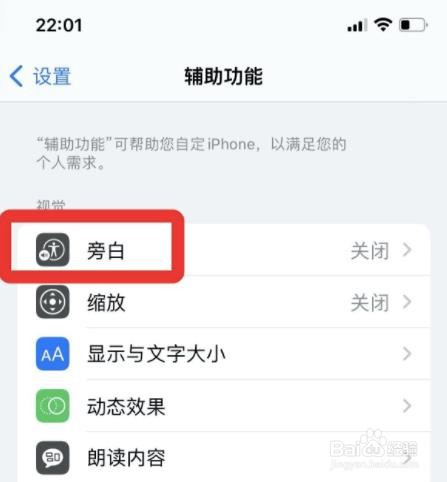 苹果在哪设置单一导览样式?