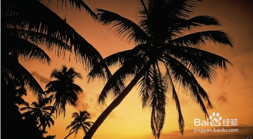 如何拍出美妙的风景照片