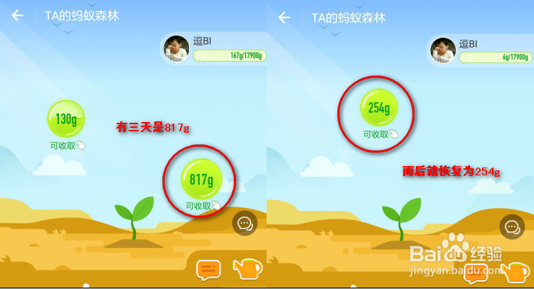 最全支付宝蚂蚁森林种树攻略，能量值计算方法