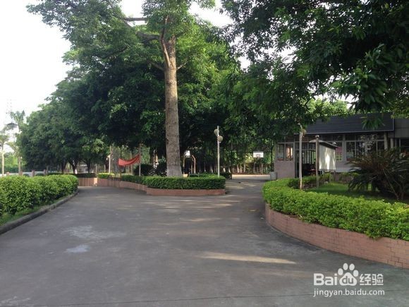 南华工商学院黄埔校区校园图片全攻略