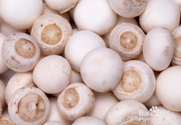 哪些食物有助于提高免疫力