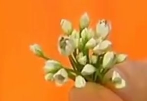 健康养生佳品腌鲜韭菜花酱