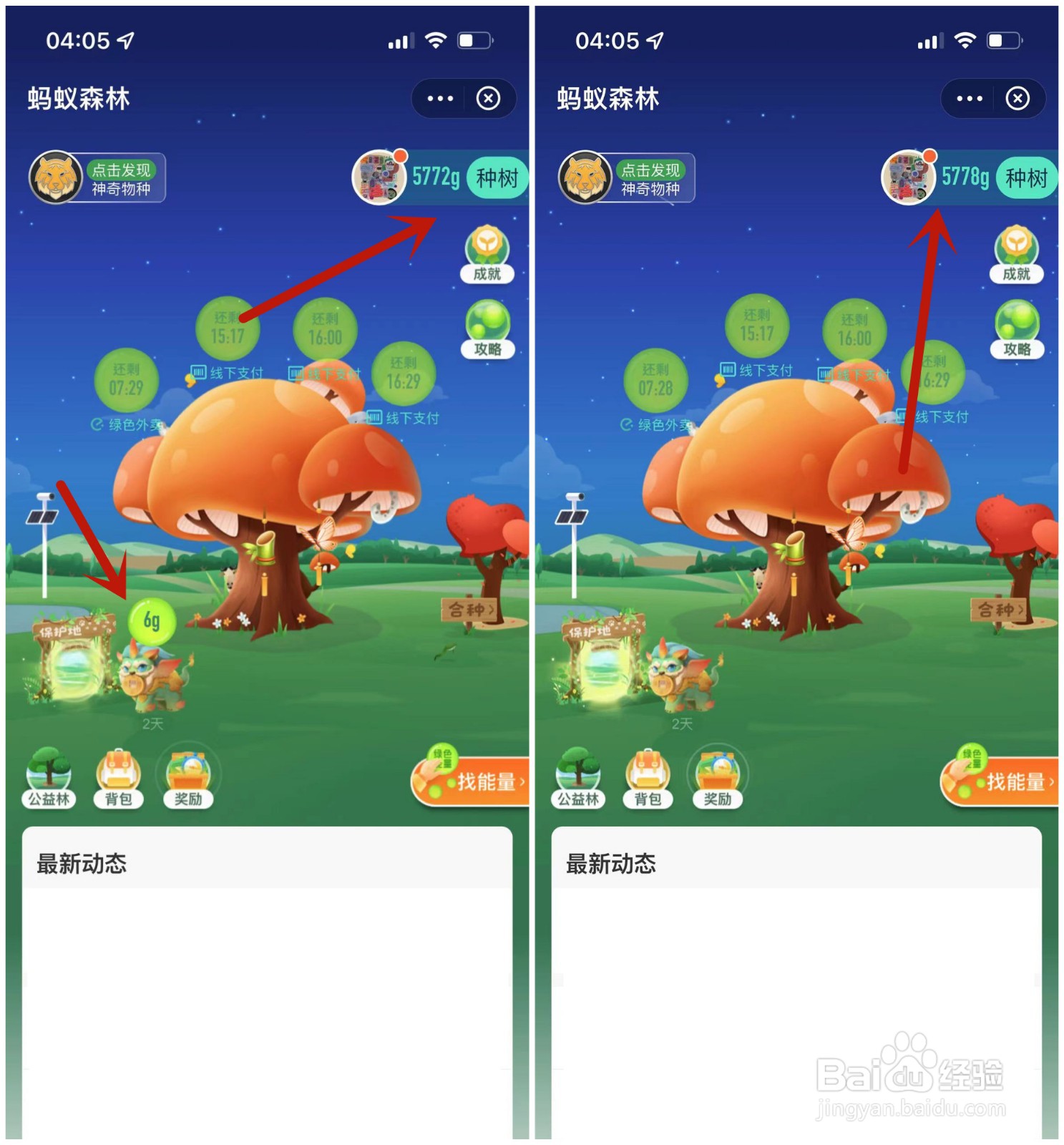 蚂蚁森林貔貅有什么作用