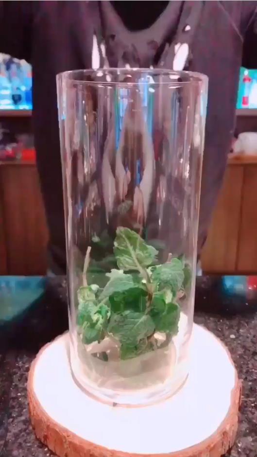 桑葚莫吉托如何制作