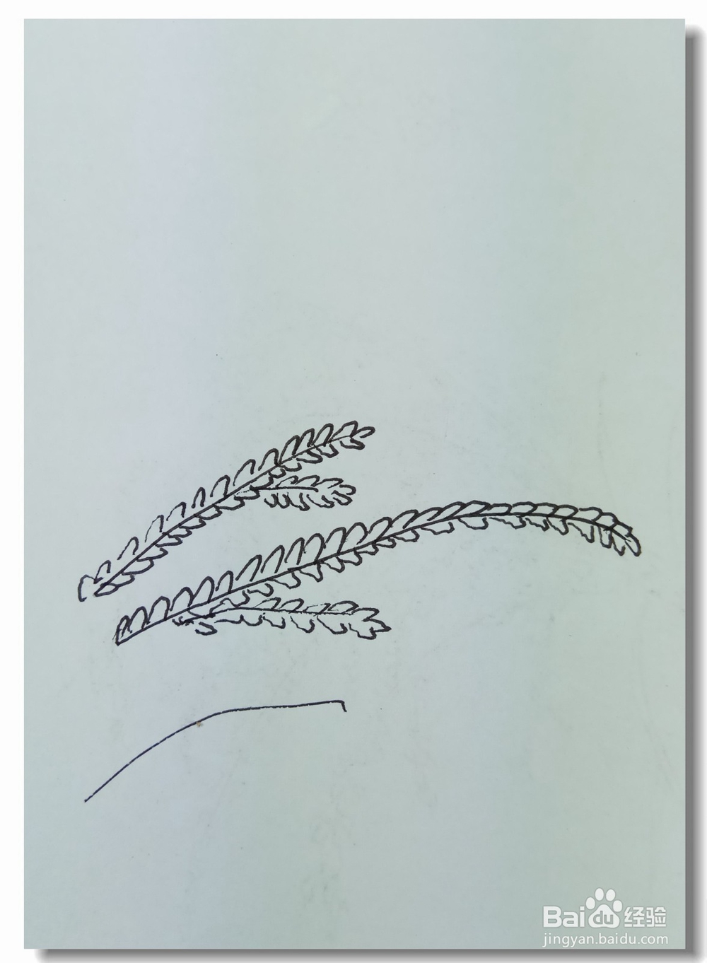怎样画钢笔画”水稻“