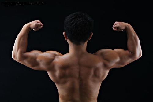 怎样增大男人的肌肉