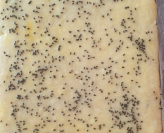 红薯酥饼制作步骤