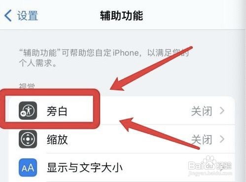 苹果手机在哪设置单一导览样式