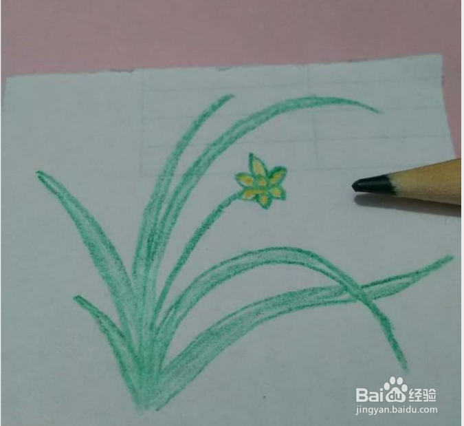简笔画一朵兰花