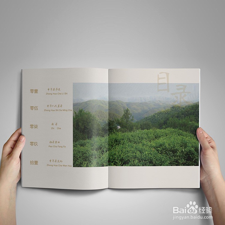 什么样的画册设计富有营销的目的