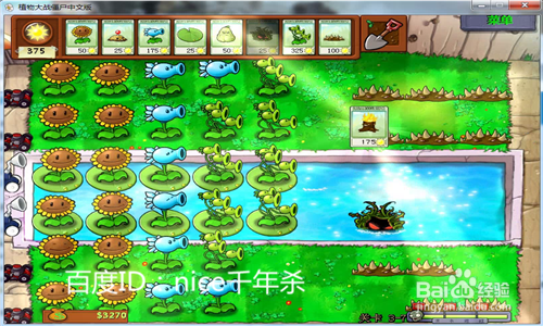 植物大战僵尸之【火爆辣椒】怎么玩？