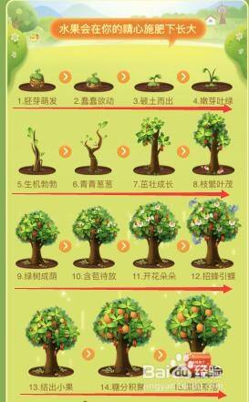 怎样获得更多芭芭农场果树的肥料(怎样获得更多芭芭农场果树的肥料图纸)  第1张
