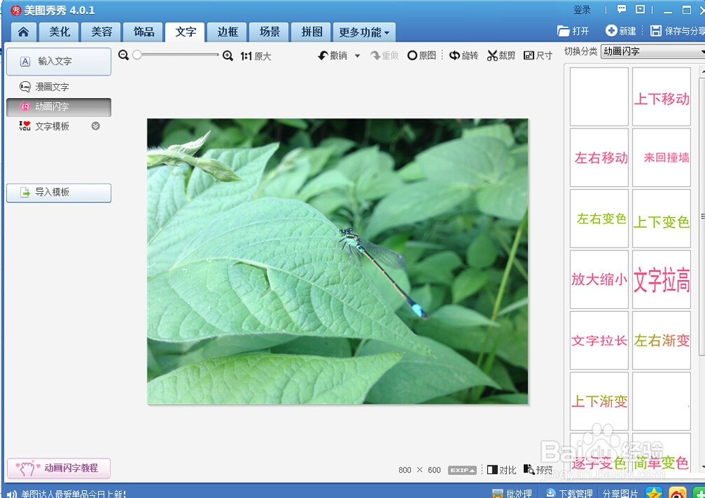 怎么样在图片上添加动态文字