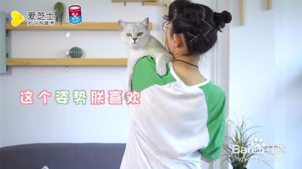 怎样抱猫咪最舒服