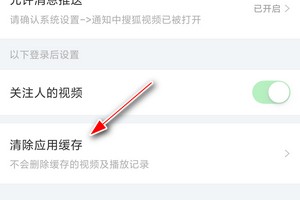 如何清除搜狐视频的缓存文件