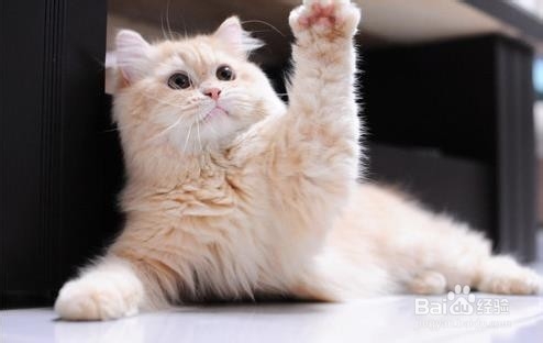 如何轻松应对面试？