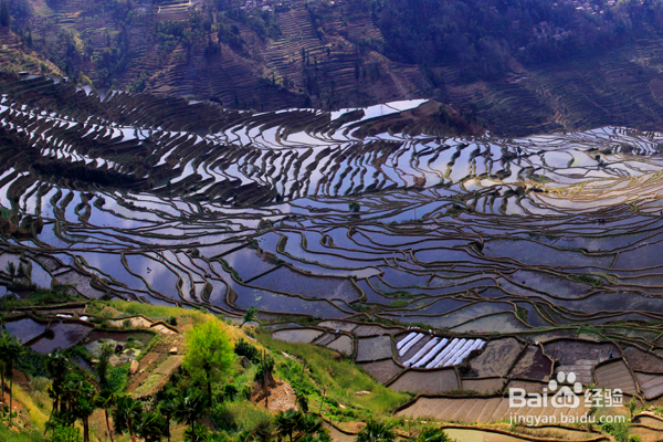 云南令人神往的地方,快来了解一下吧