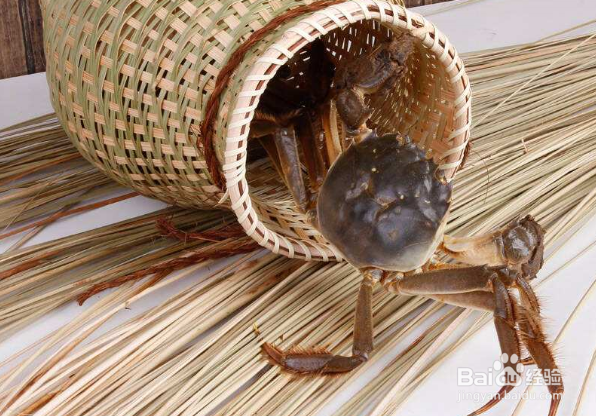 如何挑选阳澄湖大闸蟹?