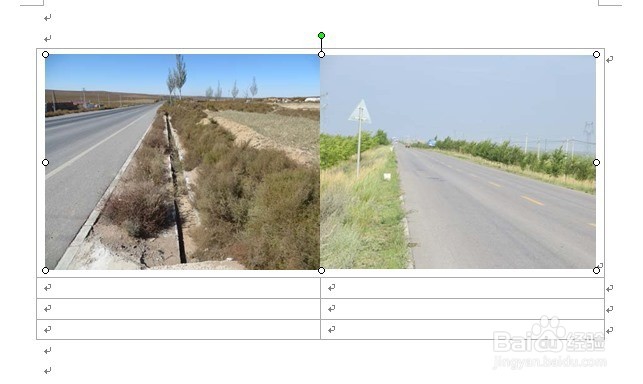 Word文档中如何将多张图片整齐排列固定在表格中