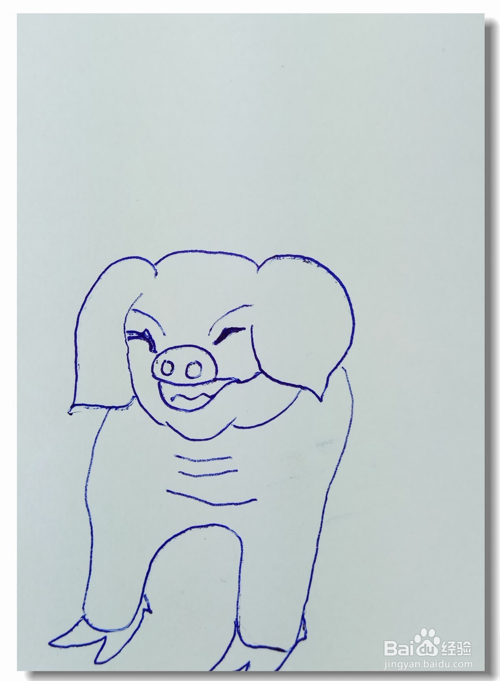 怎样画简笔画“猪年画猪”？