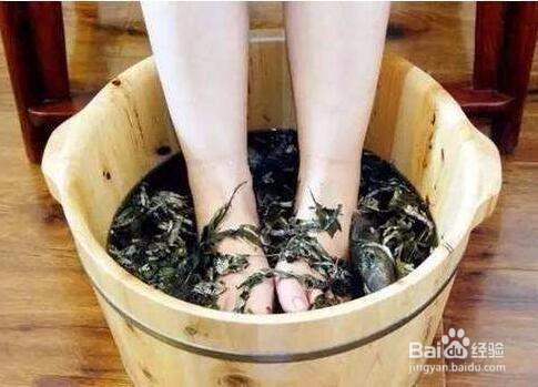 艾叶泡脚真的能减肥吗泡脚水加艾叶瘦身效果最佳