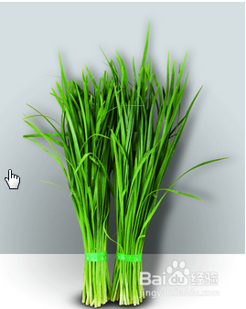 哪些食物不能放在一起吃