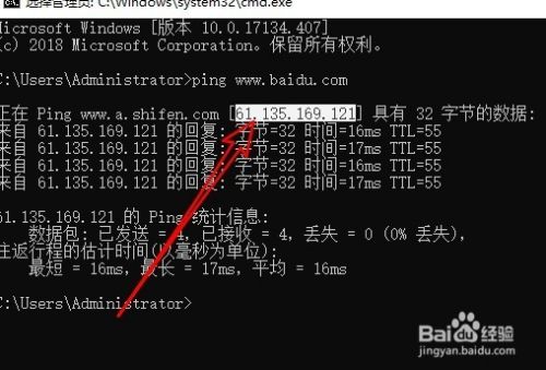 Win10怎么查看网站的ip地址 网站IP地址如何查看