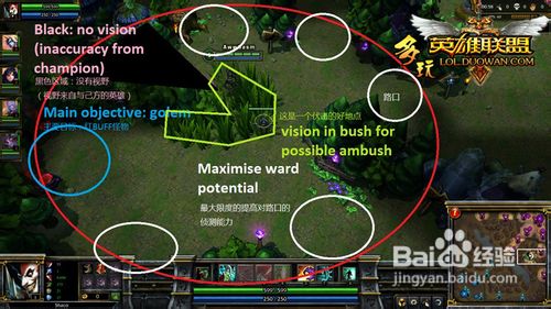 【英雄联盟】插眼技巧,教你如何专业插眼