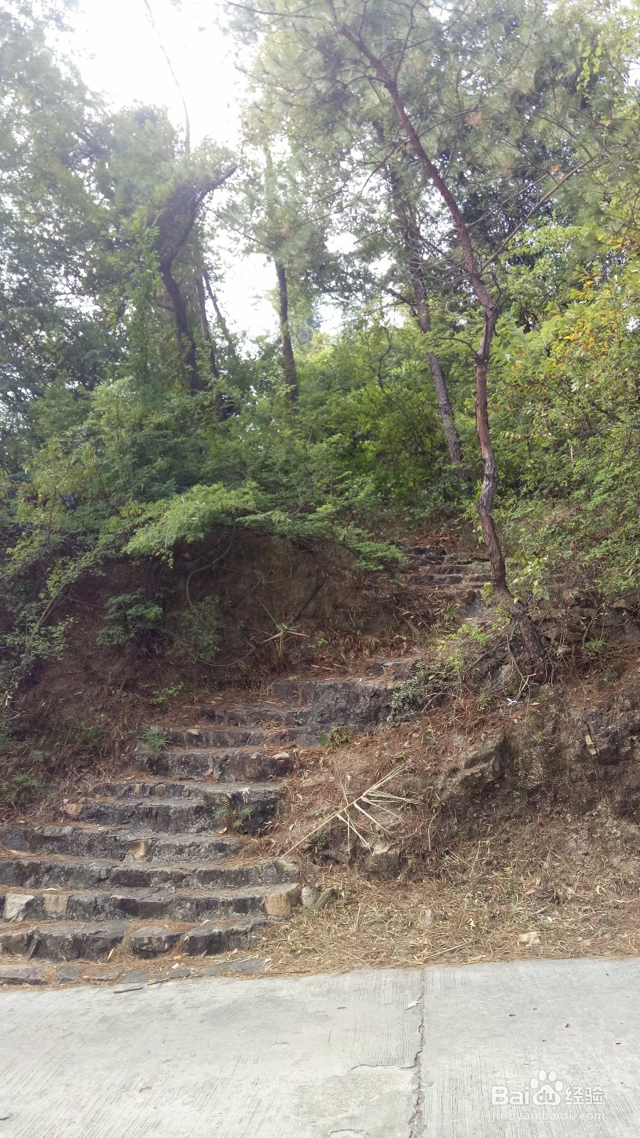 周末徒登芙蓉山