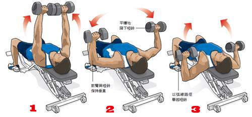 胸大肌锻炼攻略