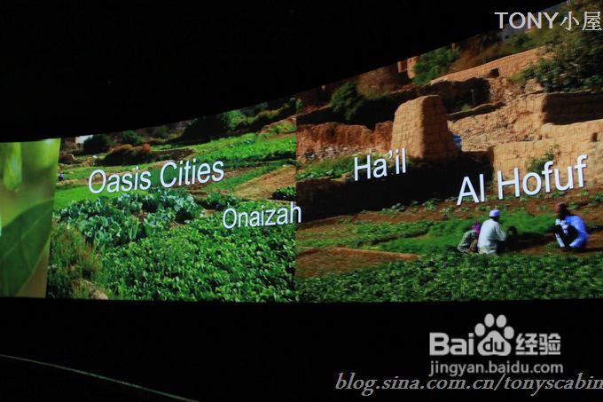 五一长假可以去看看世博园曾经最热门的沙特馆