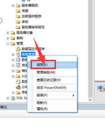 如何在sql server数据库中启用管理策略